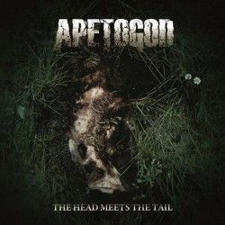 APE TO GOD - The Head Meets...