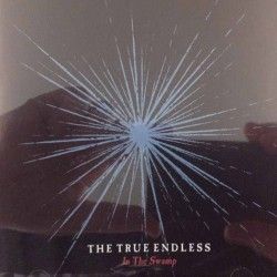 THE TRUE ENDLESS - In The...
