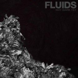 FLUIDS - Not Dark Yet (CD)
