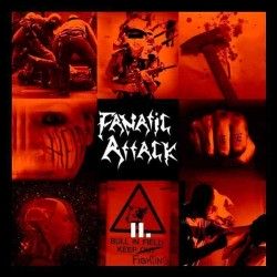 FANATIC ATTACK - II (CD)